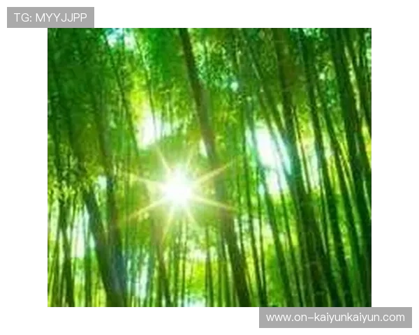 体育服务行业绿色认证启动，节能技术应用获补贴